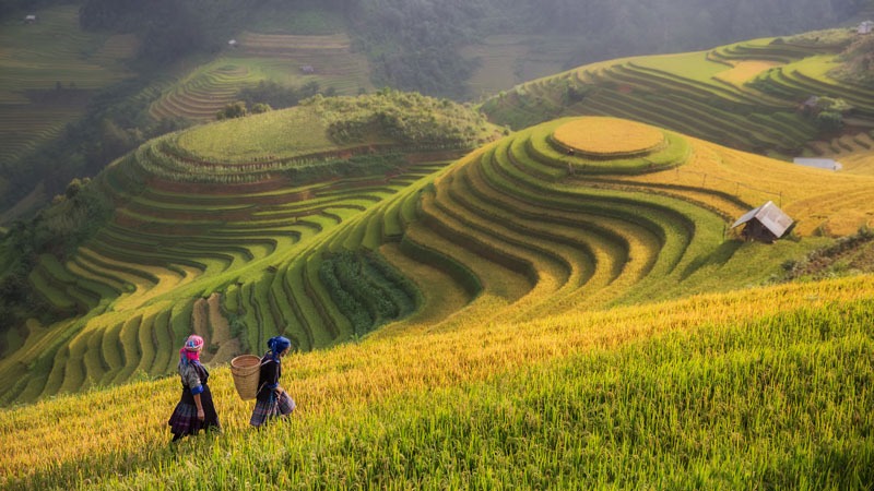 Vietnam’s Rainy Season - Travel Guide | Asia Highlights