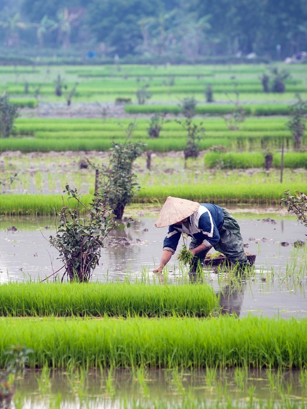 14-Day Vietnam, Cambodia and Laos Itinerary: Premium Private Tour