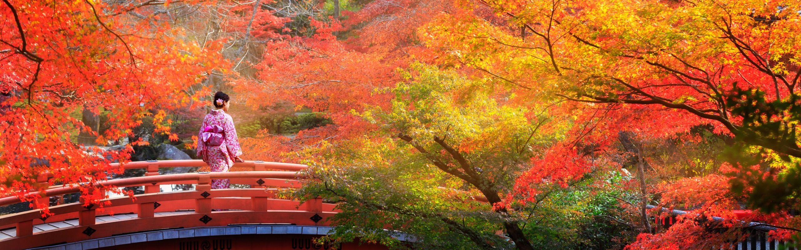 Japan Weather in November 2024: Best Autumn Month, Travel Tips