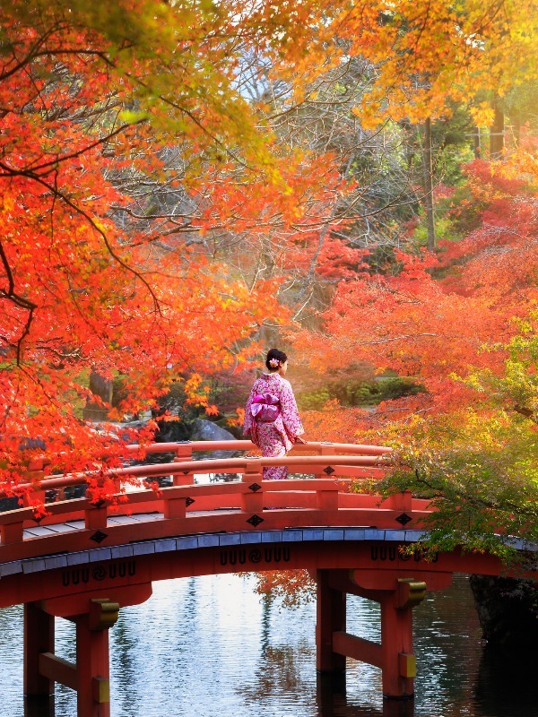 Weather-Appropriate Clothing for Tokyo in April