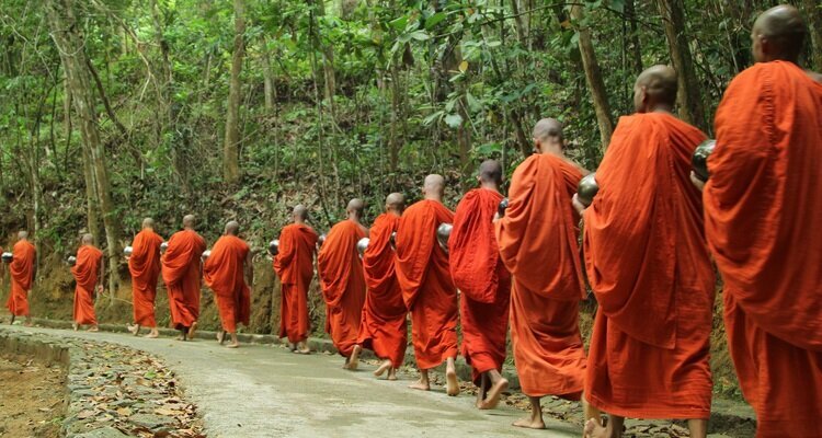 Witness monks descend for alms-giving at Doi Suthep