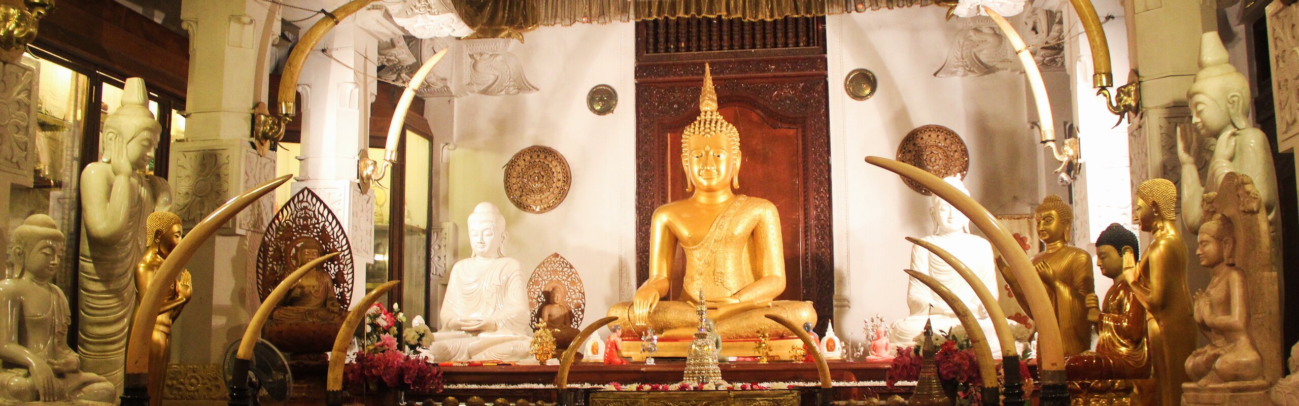 Sri Lanka in May: Weather and Travel Tips