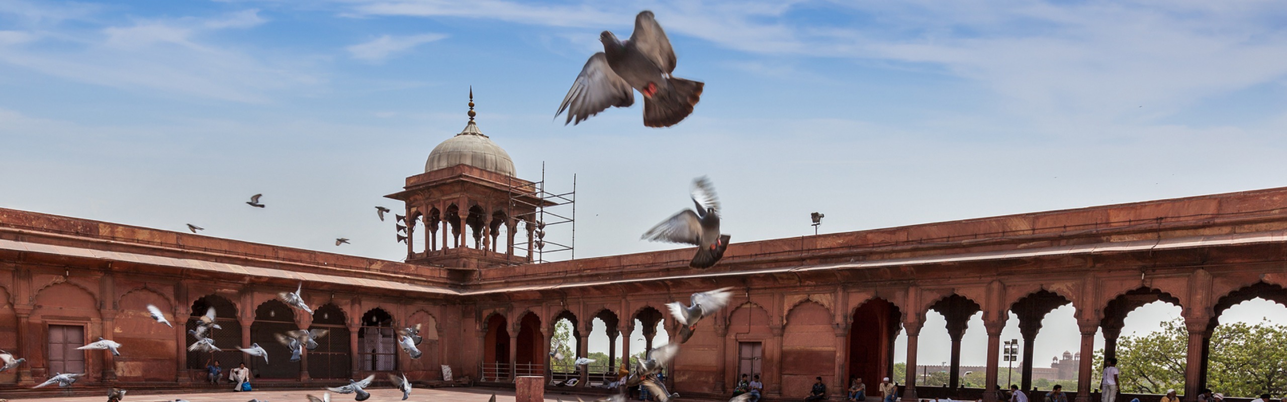 The 29 Ultimate Things to Do in Delhi