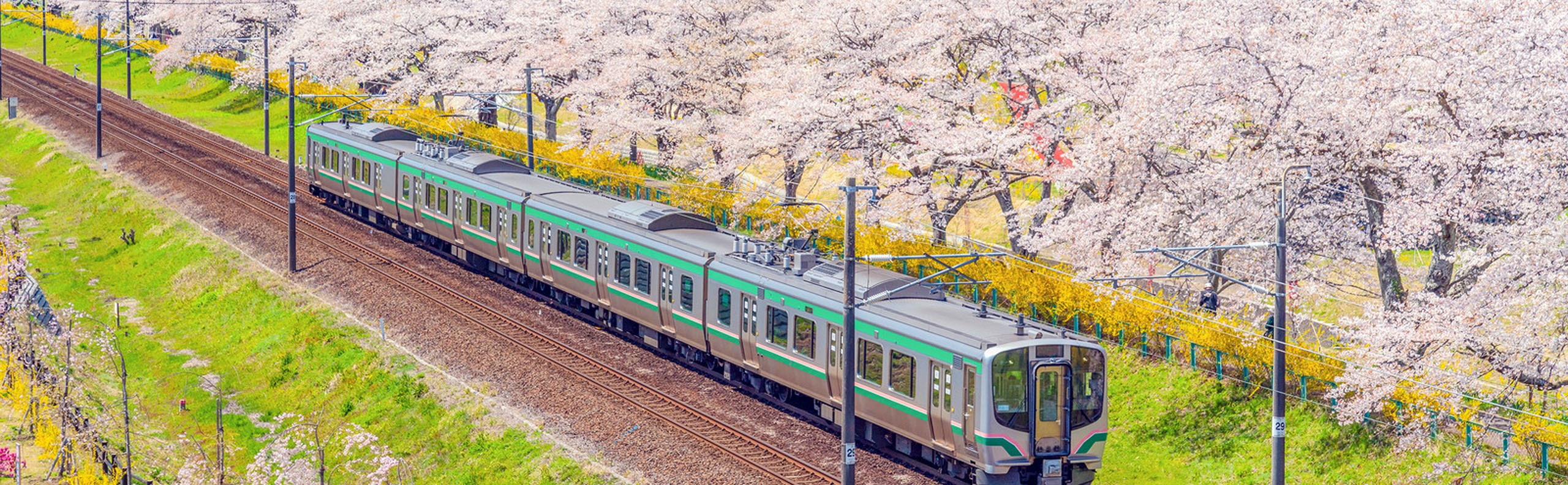 The Shinkansen Bullet Train in Japan