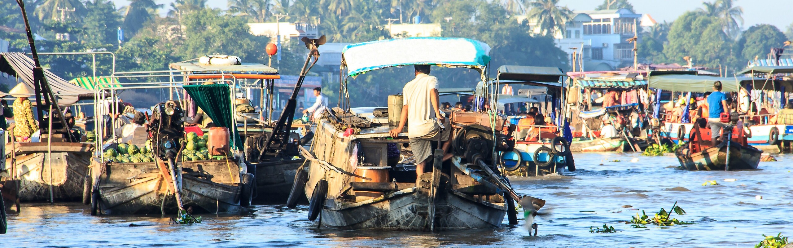 Shopping in the Mekong Delta