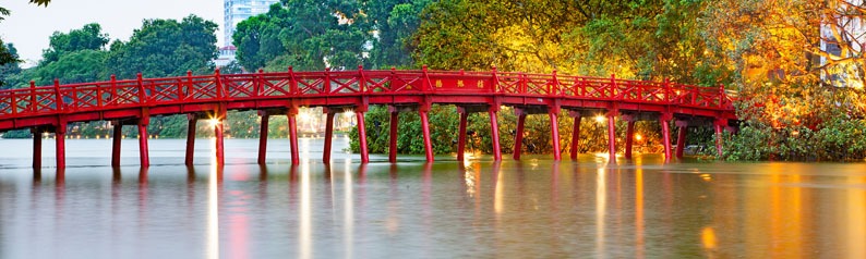 Vietnamese New Year (Tet) 2025 - Year of the Snake