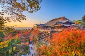 Tokyo Vs Kyoto:6 Main Travel Differences | Asia Highlights