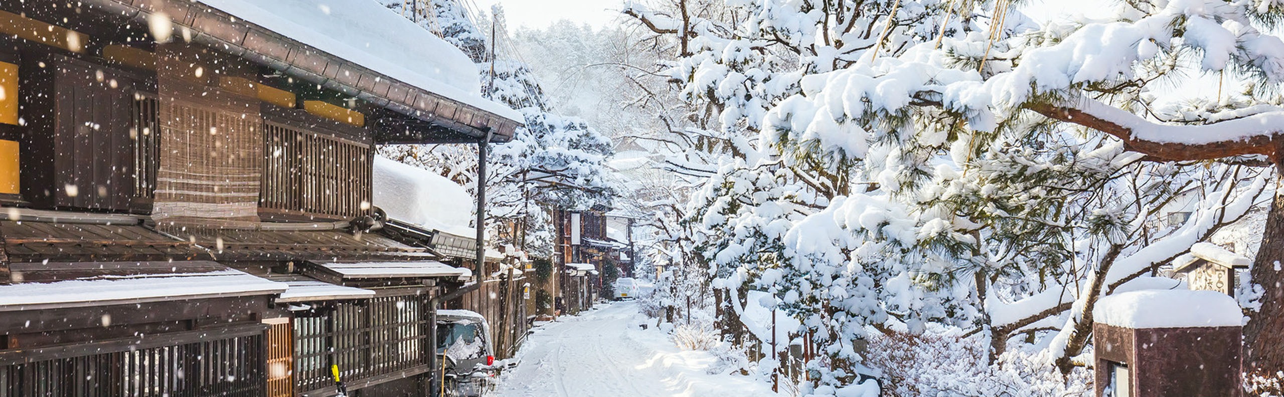 Top Winter Destinations in Japan 