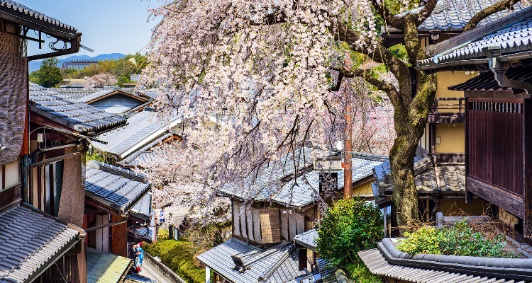 Best And Worst Times To Visit Kyoto In 2024   645fa817336441489bcc9154 Cut 750x400 56 