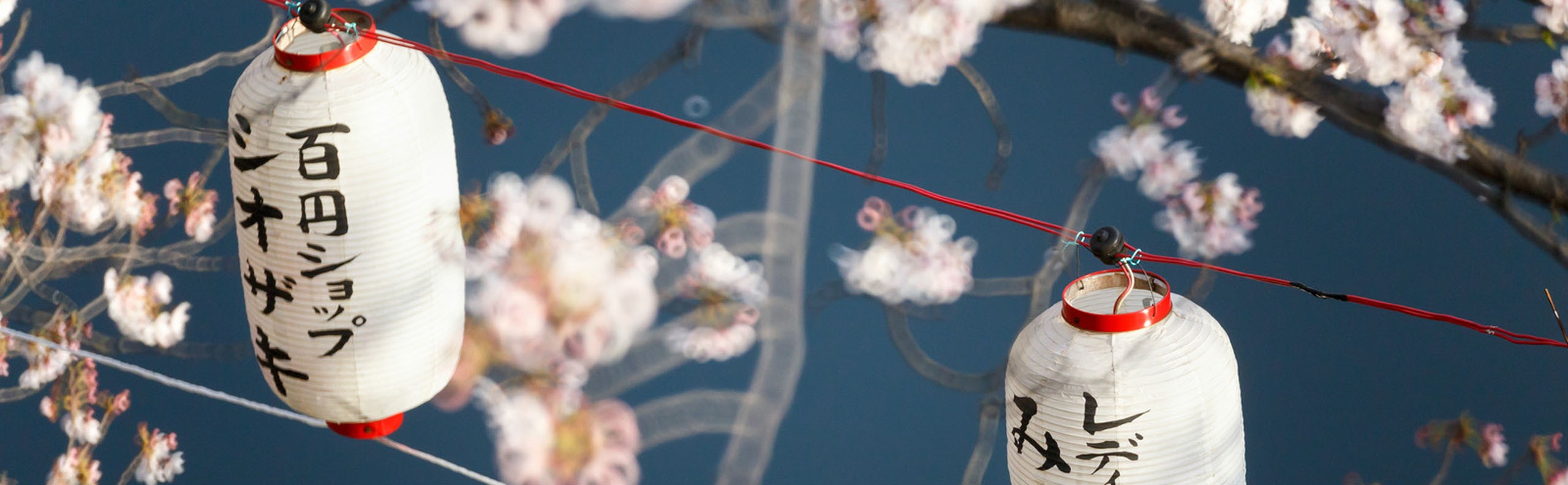 Japanese Public Holidays and Events
