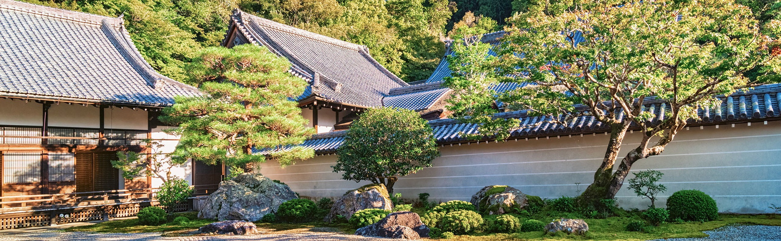 Japanese Gardens -Everything You Need to Know
