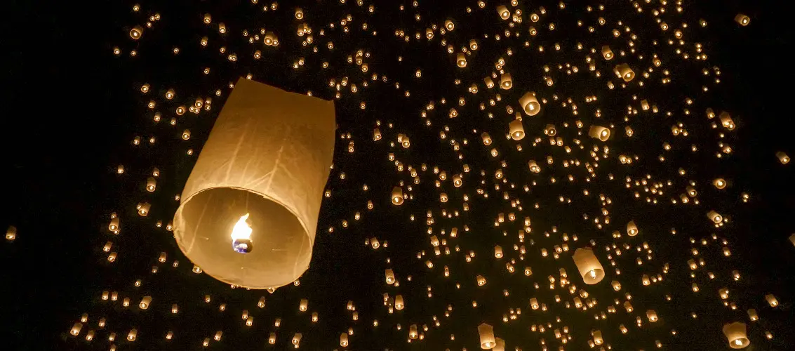 tangled lanterns for sale