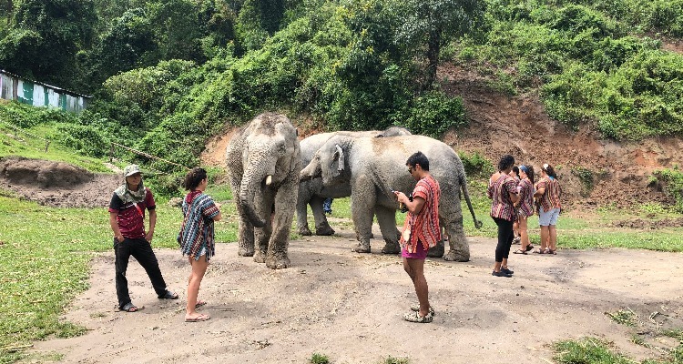 Cambodia Weather in December 2025, Where to Go and Travel Tips