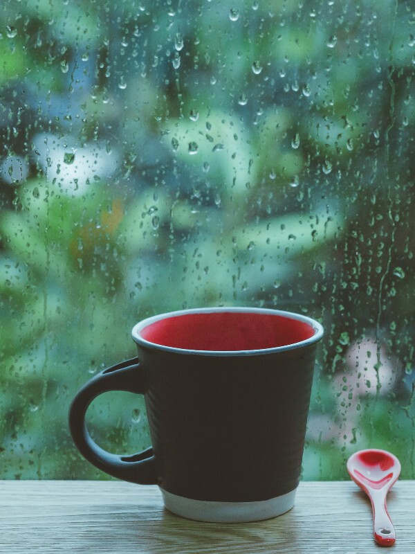 Bangkok Weather in June Good to Go or Not Asia Highlights