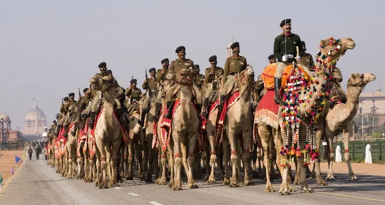 Camel Parade in India Republic Day