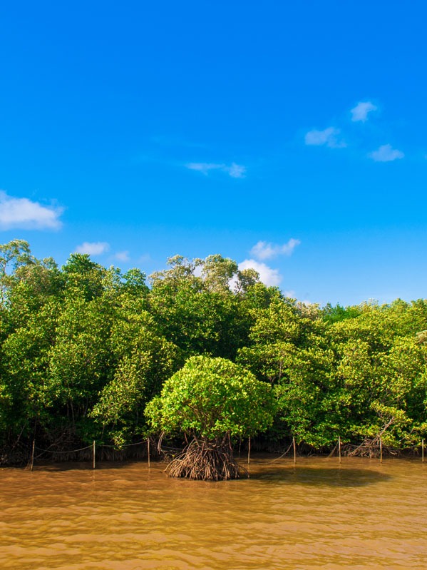 thailand monsoon season Mistery Color