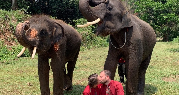 Elephant Rescue Park in Chiang Mai