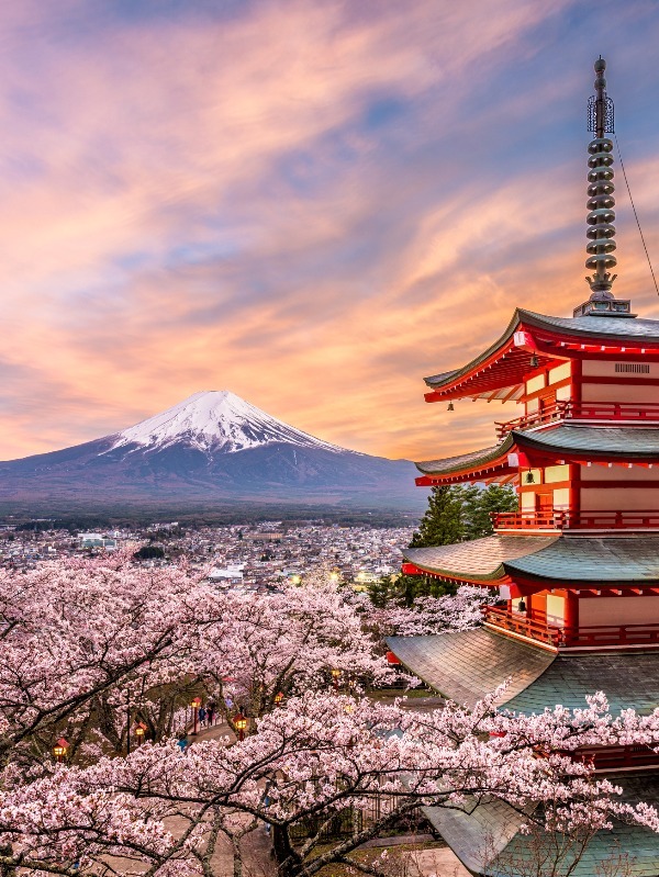 The Best Tokyo Vacations, Tailor-Made for You