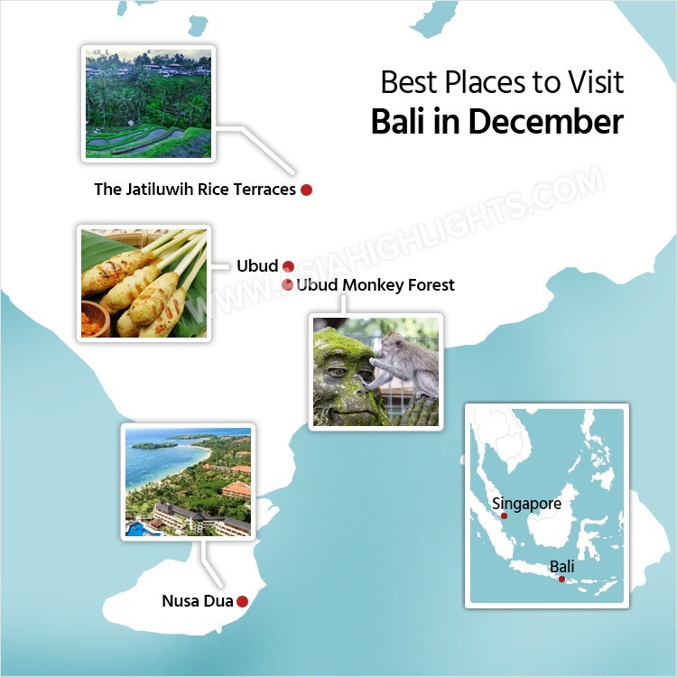 bali best time to visit december