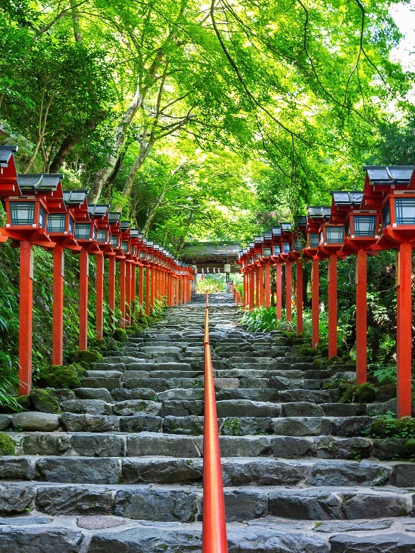 Rainy Season In Japan 2023 2024 When Where To Go