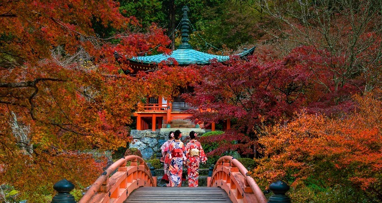 Best And Worst Times To Visit Kyoto In 2024   0c87f11a878a4549a3b25910 Cut 750x400 56 