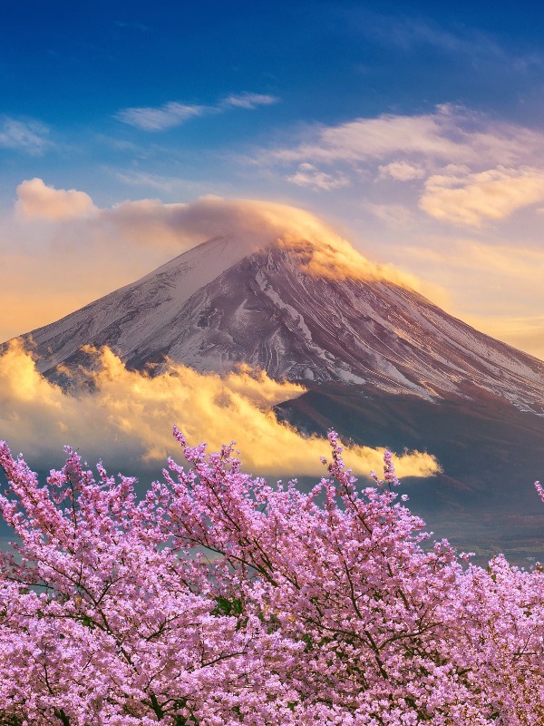 Japan Weather in August 2023, Travel Tips (for FirstTimers)