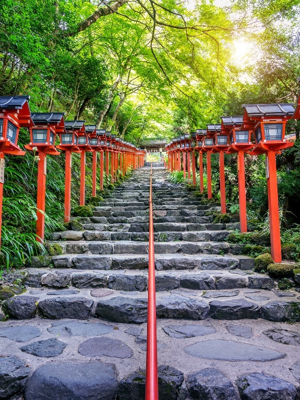 When to Visit Japan? Bests Times and 2023 Travel Tips