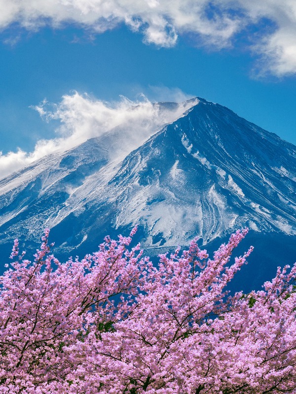 What Is The Weather Like In Japan During April