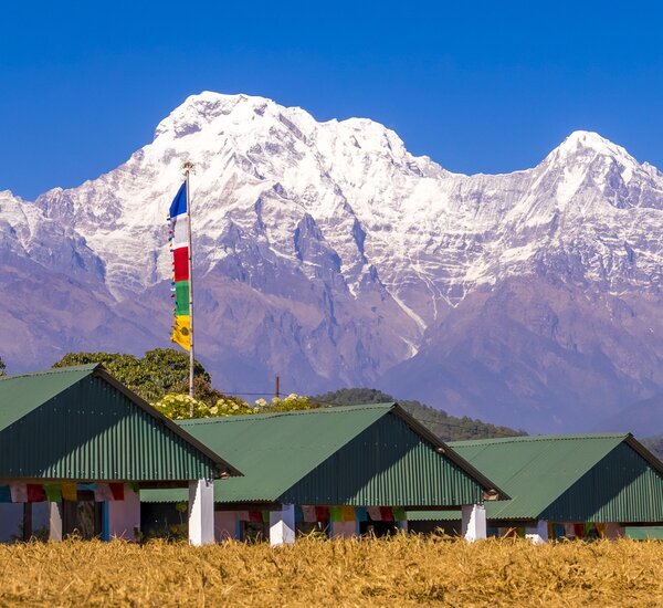 a woman and the snow mountain