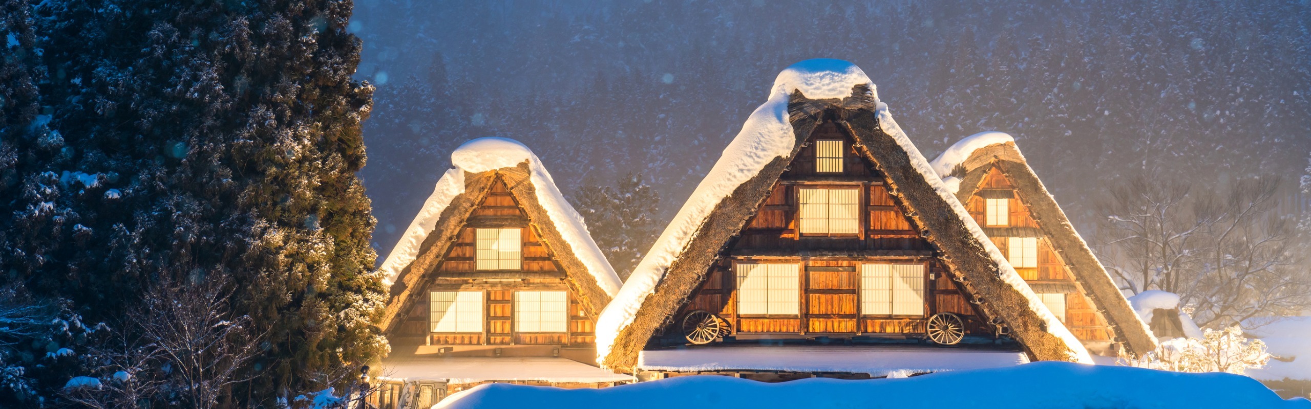 Plan a Japan Winter Trip 2024: Top Experiences & 2 Itineraries