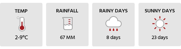 Japan Weather in January 2025: Travel Tips for First-Timers