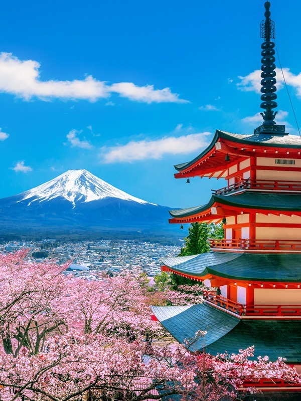 7Day Japan Cherry Blossom Tour 2025 Essential MiniGroup Tour