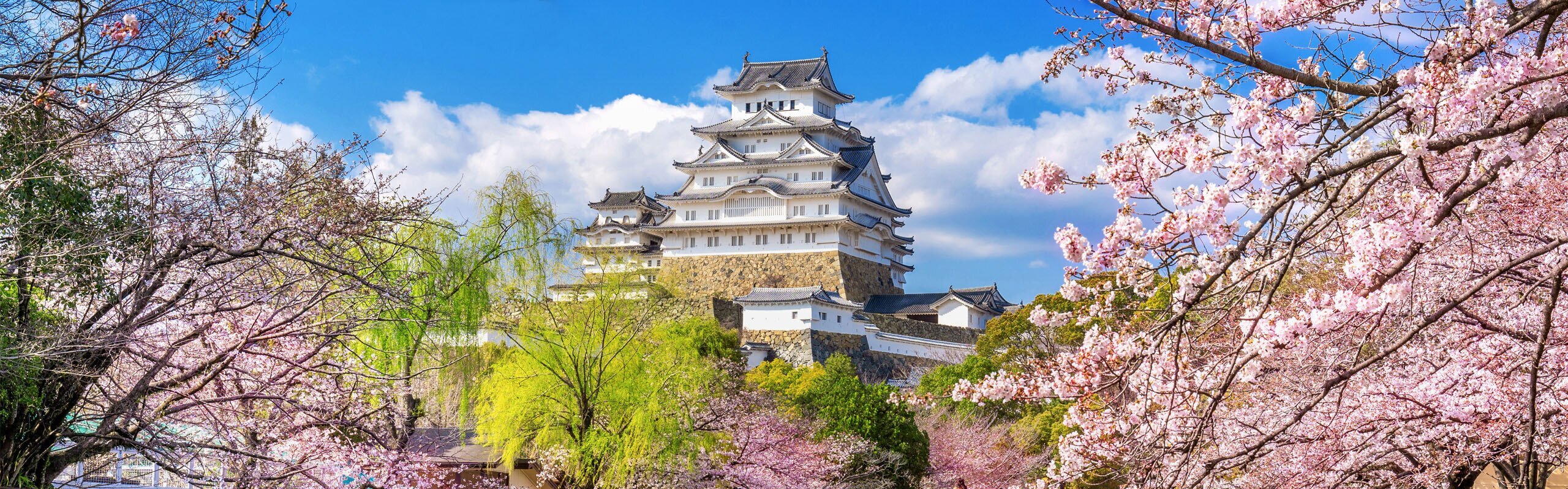 2-Week Highlights of Japan in the Cherry Blossom Season