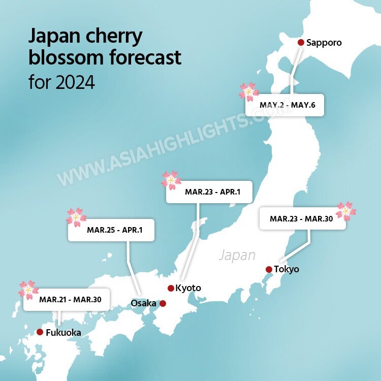 Plan a Japan Cherry Blossom Trip 2024/2025, Dates and Avoid Crowds