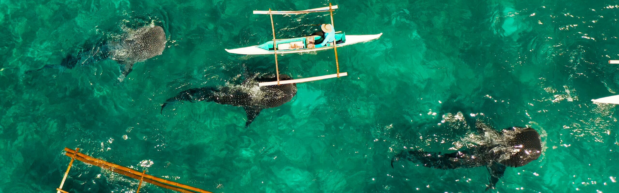 Philippines Weather in July 2025: Travel Tips for First-Timers