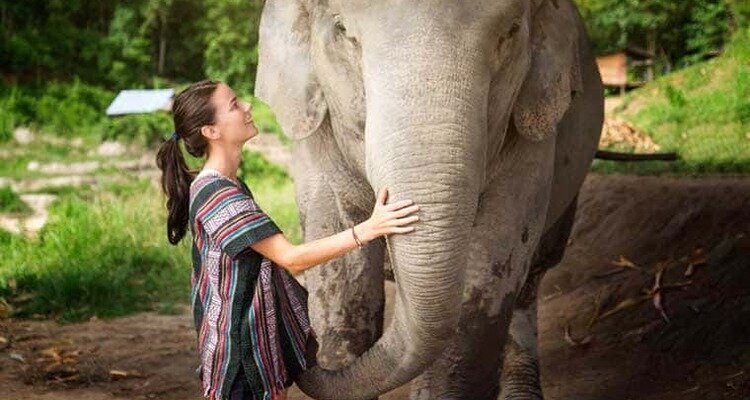 Elephant Jungle Sanctuary