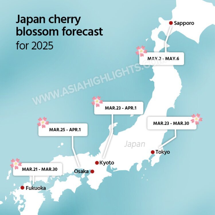 How to See Cherry Blossoms in Kyoto 2026 When, Where and Planning Tips