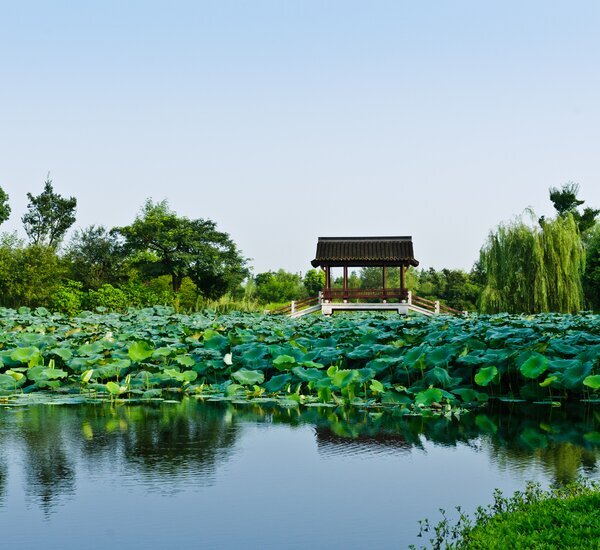 Xixi Wetland Park 