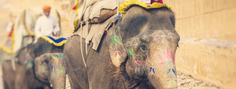 14-Day Family Holiday in India